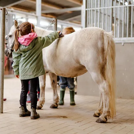 Reethaus 4b Σπίτι διακοπών *