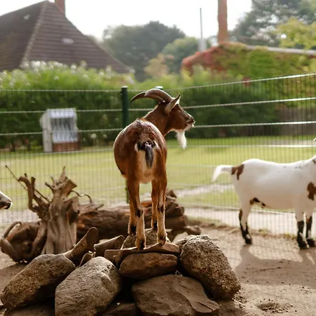 Σπίτι διακοπών Reethaus 4b