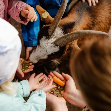 Reethaus 4b Σπίτι διακοπών *