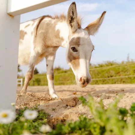 Reethaus 4b Staberdorf