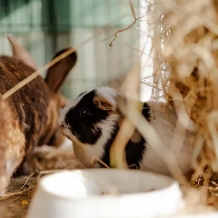 Reethaus 4b Staberdorf